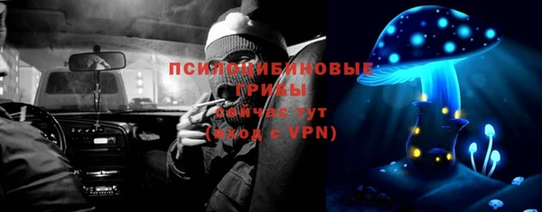 молекула духа Балахна