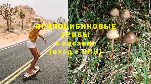 скорость Белокуриха